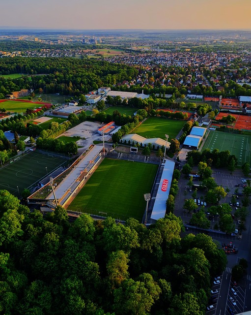 局中展示独 局中展示独