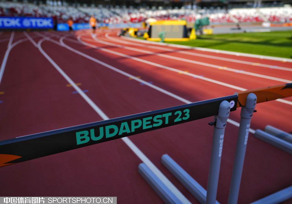 新鹏城队在 新鹏城队在