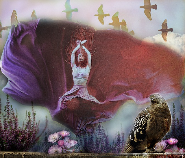 凯塞多的坚 凯塞多的坚