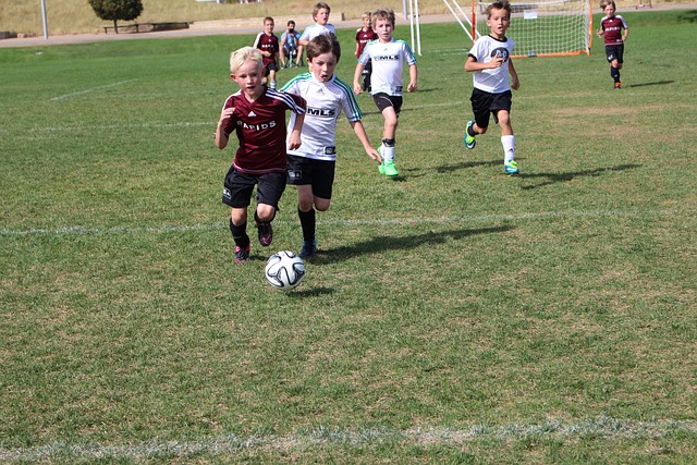 主教練和隊 主教練和隊