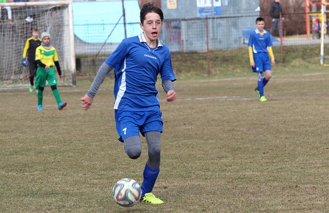 不承认的公 不承认的公